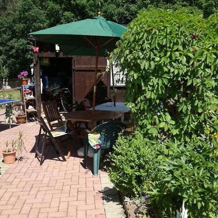 Ferienwohnung Am Wald Tharandt ภายนอก รูปภาพ